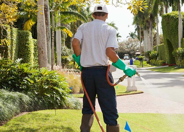 About Waverly NY Pest Control
